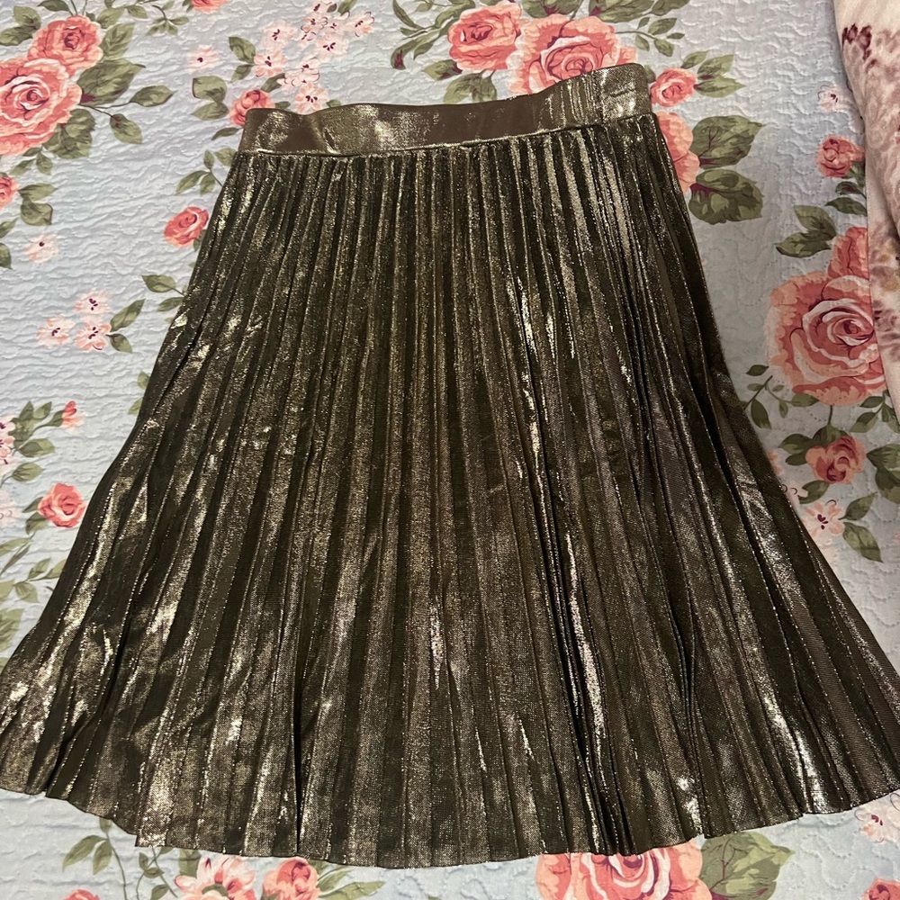 shiny skirt